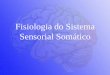 Fisiologia do Sistema Sensorial Som .precis£o sensorial. â€¢Sistema protoptico veiculam informa§µes