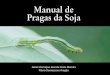 Manual de Pragas da Soja - agrolink.com.br · Por todos esses motivos, enfatizo uma vez mais a minha crença de que o agronegócio do Brasil crescerá cada vez ... seca e tombamento