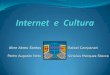 Aline Abreu Santos Rafael Campanari Pedro Augusto …wiki.icmc.usp.br/images/a/a0/SCC0207-Graca_Grupo15Slides.pdf · diversidade da cultura brasileira