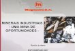 MINERAIS INDUSTRIAIS - UMA MINA DE …ibram.org.br/sites/700/784/00000938.pdf · BRUMADO-BA (3ª maior mina de magnesita do mundo) (grandes reservas de talco) ... 1 - Amianto K {