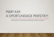 MARY KAY: A OPORTUNIDADE PERFEITA!!! · • Se você enxerga Mary Kay como um ”bico” terá resultados de ”bico”, ... • É impossivel construir um caminho para o sucesso