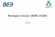 Biologia Celular (BMC-0100) - curso.pdf  Biologia Celular - 2018 Coordenadora: Patricia Coltri Sala