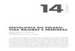HISTOLOGIA DO FÍGADO, VIAS BILIARES E …pdf.blucher.com.br.s3-sa-east-1.amazonaws.com/openaccess/... · Em b, histologia do fígado de porco (coloração com Tricrômico de Masson)