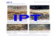 Instituto de Pesquisas Tecnológicas IPT - mma.gov.br · PDF fileclínquer com halo estratificado de gel parcialmente carbonatado. Polarizadores paralelos. ... discontinuidades entre