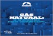 LIVRO - Gás Natural, o energético mais competitivo … · Se este livro se ativesse apenas a uma abordagem genérica acerca do de- senvolvimento da indústria do Gás Natural no