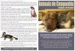 Animais de Companhia – Cuidar e Proteger ·  Animais de Companhia Cuidar e Proteger Partilhar a nossa vida com um animal de companhia pode …