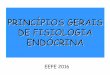 PRINCÍPIOS GERAIS DE FISIOLOGIA ENDÓCRINAfisio2.icb.usp.br:4882/wp-content/uploads/2016/02/MECANISMO-DE... · secreÇÃo dos hormÔnios hidrossolÚveis vesÍculas – fusÃo com
