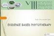 EVIDENCE BASED PHYTOTHERAPY - Univali · Shultz et al. Rational Phytotherapy, 2004 . Nombre de la planta Nivel de evidencia Nivel de segurança Aesculus hippocastanum 
