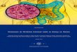 Homeostase da Microbiota Intestinal: Sade ou Pinto...  Ctia Teixeira Pinto Homeostase da Microbiota
