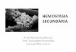 Hemostasia - profbio.com.br · Hemostasia secundária •Envolvimento da cascata de coagulação, sistema fibrinolítico e antifibrinolítico •Reações em cascata com ativação