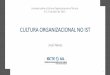 Cultura organizacional no IST - Autenticação · SENTIMENTOS AMPLOS E NÃO ESPECIFICOS DE ... Individual Promoções, ... Y, Z) Camadas da cultura organizacional 10 