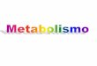 O QUE É O METABOLISMO - UNESP: Câmpus de … · Metabolismo é a somatória de todas as transformações químicas de uma célula ou organismo . 1 