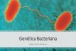 Gen©tica Bacteriana - ufjf.br ?tica-Bacteriana-1.pdf  Gen©tica Bacteriana Julliane Dutra Medeiros