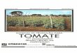 TOMATE DE PRODUÇAO PARA - …ainfo.cnptia.embrapa.br/digital/bitstream/item/43260/1/SID... · INTRODUÇAO O tomate é originário da Cordilheira dos Andes, na América do Sul, onde
