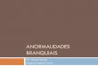 EMBRIOLOGIA DA CAVIDADE ORAL E OROFARINGE branquiais.pdf · Período Embrionário Ectoderma Origina órgãos e estruturas que mantém contato com o mundo externo: Sistema Nervoso