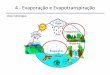 4 - Evaporação e Evapotranspiraçãortkishi.dhs/TH024/TH024_04_Evaporacao.pdf · Evaporação de um reservatório x Evaporação do Tanque ...  …