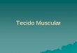 Tecido Muscular - ecdise.weebly.comecdise.weebly.com/uploads/2/8/4/6/2846714/aula_6_-_msculo... · Sarcolemma Terminal cisternae Transverse tubule Sarcoplasmic reticulum Mitochondria