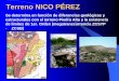 Terreno NICO PÉREZ - cuencas.fcien.edu.uycuencas.fcien.edu.uy/cursos/materiales/Tema 12b.pdf · Terreno NICO PÉREZ Se determina en función de diferencias geológicas y estructurales