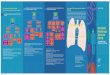 2 1 2 3 Teste Rápido - Ministério da Saúdeportalms.saude.gov.br/images/pdf/2016/maio/18/folder-TRM-TB... · INVESTIGAÇÃO DE TUBERCULOSE EM CASOS NOVOS (NUNCA ANTES TRATADOS)