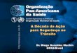 A Década da Ação para Segurânça no Trânsito - … · A Década da Ação para Segurânça no Trânsito Dr. Diego González Machín OPAS/Brasil