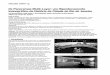 Os Panoramas Multi-Layer: um Hiperdocumento …cumincades.scix.net/data/works/att/sigradi2009_803.content.pdf · PAN Panorama 261 representado (Jacobs, 2004). As instalações panorâmicas