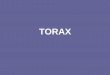 TORAX - .TORAX. Anatomia do T³rax. Considera§µes â€¢As escpulas em perfil projetam-se sobre