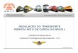 REGULAÇÃO DO TRANSPORTE FERROVIÁRIO DE … · Definição do Modelo Básico: Priorização da linha de negócios de transporte de cargas, passageiros como complementar; Subdivisão