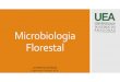 Microbiologia Florestal - … · • Microbiologia ambiental • Microbiologia de alimentos • Microbiologia veterinária • Microbiologia agrícola/florestal • Microbiologia