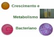 Crescimento e Metabolismo Bacteriano - ibb.unesp.br · Vibrio E. coli cholerae. Pressão Osmótica. Não Halófilo Altas concentrações de soluto dissolvido ... Lactobacillus e Bacillus