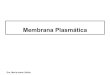 Membrana Plasmática - biologia.ufc.br · Dra. Maria Izabel Gallão Composição química • A composição química das membranas oscila em torno dos valores médios de 60% de proteínas