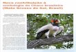 Nova contribuição à ornitologia do Chaco brasileiro … · Atualidades Ornitológicas Nº 134 - Novembro/Dezembro 2006 - Nova contribuição à ornitologia do Chaco brasileiro