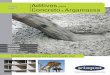 Aditivos para Concreto e Argamassa - ramalho1.com.br · Aditivos para Concreto e Argamassa Soluções inovadoras para a construção civil Concreteiras Pré-moldados Infraestrutura