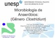 Microbiologia de Anaeróbios: (Gênero Clostridium) · C. novyi(hepatite necrótica, ... Gênero Clostridium. Endósporos Método de Wirtz. ... Saliva e regurgitação de material