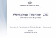 Workshop Técnico- CIE · Anteprojeto das Alternativas Escolhidas Seleção das Alternativas para Projeto Básico Avaliação ... irregularidades observadas pelo TCU nas auditorias