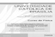 UNIVERSIDADE CATÓLICA DE BRASÍLIA - ucb.brº2008/TCC03Joel.pdf · joel henrique silva do nascimento estudo dos processos fÍsicos envolvidos nos motores que utilizam como combustÍvel