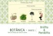 Briófita BOTÂNICA PARTE I Ramo da biologia que … · PTERIDÓFITA Tanto nas briófitas quanto nas pteridófitas, o gametângio masculino recebe o nome de anterídio, e os gametas