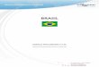 BRASIL - Agencia ProCórdoba · ... Brasil fue el segmento del continente americano que ... de 26 estados federados y por el Distrito Federal, divididos en 5.564 ... queda reflejado