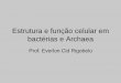 Estrutura e função celular em bactérias e Archaea · – Eubacterias (do grego, eu = verdadeiro). – Archaeobacterias (do grego, Archaeo = antigo), • Descobriu-se que as Arquebactérias