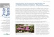 Otimização da Produção de Mudas de Cattleya labiata ... · plântulas in vitro de C. labiata e sua aclimatização em telado: Etapa 1: Desinfestação da cápsula, inoculação