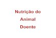 Nutrição do Animal Doente - fcav.unesp.br€¦ · (definir dieta) 3) estimar as necessidades calóricas 4) selecionar a dieta e a via de administração 5) conduzir o programa de