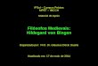 Filósofos Medievais: Hildegard von Bingen ·  VISÕES Ver o que não estava evidente para mais ninguém