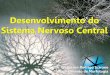 Desenvolvimento do Sistema Nervoso Central - … · Sistema Nervoso Central ... CASTILLO-ROMERO, M.E.et al. Embriologia: Biologia do Desenvolvimento. 1ª ed. Tradução, São Paulo,