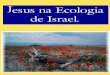 Jesus_na_Ecologia_de_Israel.pdf - files.comunidades.net · ser cortada da oliveira original, mesmo sem o solo ou a água. Jesus o renovo - o Messias - , um descendente de Davi, filho