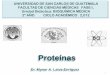 Proteínas - Universidad de San Carlos de Guatemala ... · Digestión intraluminal final de los alimentos: dímeros de hidratos de carbono y vías de absorción específicas para