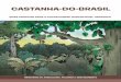 CASTANHA-DO-BRASIL - agricultura.gov.br · caderno de boas prÁticas para o extrativismo sustentÁvel orgÂnico da castanha-do-brasil ministÉrio da agricultura, pecuÁria e abastecimento