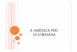 A AMÉRICA PRÉ COLOMBIANA - …msmidia.profissional.ws/profclaudiomar/pdfs/AmericaPreColombiana.pdf · Cultivos:mandioca,abacate, algodão,feijão,tomate,batata e pimentão,algodão