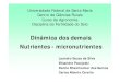 Dinâmica dos demais Nutrientes -micronutrientesw3.ufsm.br/solos/antigo/PDF/fertilidade do solo/Aula de... · -encontrado na forma de óxidos e nos octaedros das argila