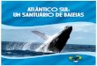ATLÂNTICO SUL: UM SANTUÁRIO DE BALEIASbaleiafranca.org.br/oprojeto/publicacoes/SantuarioAtlanticoSul.pdf · A proposta de estabelecimento de um Santuário de Baleias no Atlântico