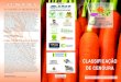 CENOURA - hortifrutivarejo.nethortifrutivarejo.net/wp-content/uploads/2016/03/cenoura.pdf · A tabela abaixo contém informações sobre a oferta de cenouras no mercado por grupo: