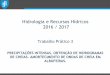 Hidrologia e Recursos Hídricos 2016 / 2017 - Autenticação · Trabalho Prático 3 PRECIPITAÇÕES INTENSAS. OBTENÇÃO DE HIDROGRAMAS DE CHEIAS. AMORTECIMENTO DE ONDAS DE CHEIA